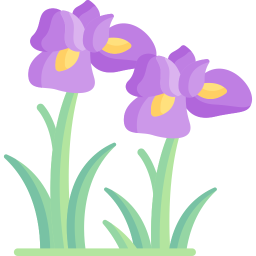 iris